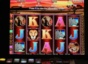 开云足球最新版